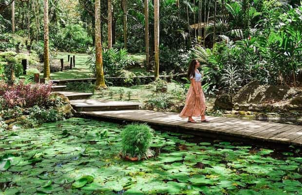 Garden-of-the-Sleeping 2-Giant Meli Tours and transfers Garden-of-the-Sleeping 2-Giant Meli Tours and transfers