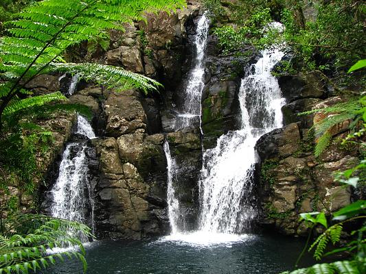 biausevu waterfall coral coast tour by Meli Tours biausevu waterfall coral coast tour by Meli Tours