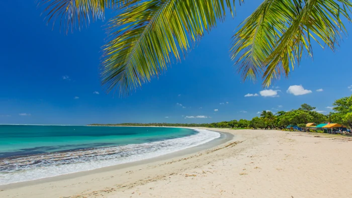 natadola beach coral coast tour by Meli Tours natadola beach coral coast tour by Meli Tours